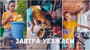 ВЛОГ: Подготовка полным ходом! Завтра уезжаем 24.08.24