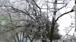 Обледенение в Краснодаре после ледяного дождя. Город в ледяной глазури.