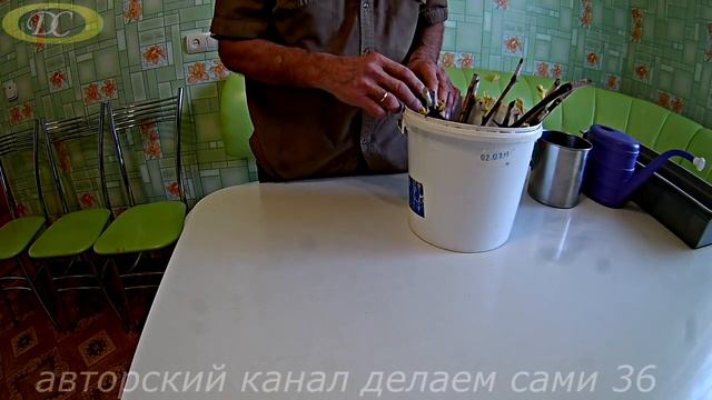 Ускоренное укоренение черенков винограда в домашних условиях.Сроки проращивания черенков винограда