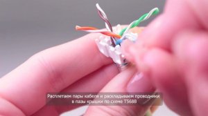 Монтаж нового RJ45 модуля NTSS Premium формата Keystone