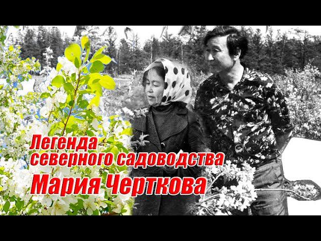 Легенда северного садоводства: к 95-летию Марии Чертковой