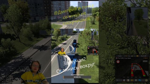 Уникальный момент 19 - Столпотворение на заправке / Euro Truck Simulator 2