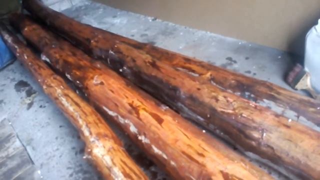 VID 20181230 121812 смотреть онлайн