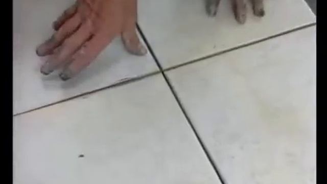 ecofloor, инсталляция, наружное применение смотреть онлайн