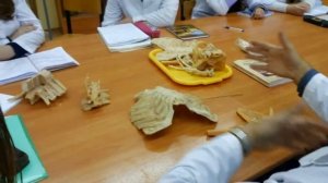 Суставы верхних конечностей