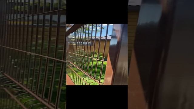 Вольер для собаки