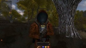 STALKER Тайные тропы 2 (ПРОХОЖДЕНИЕ №2)