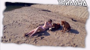Отдых на море в Таиланде // Красивый восход солнца остров Панган