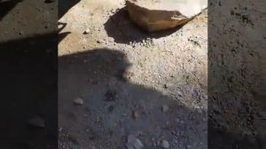 Откручивание запаски автоматом Калашникова. МАТ