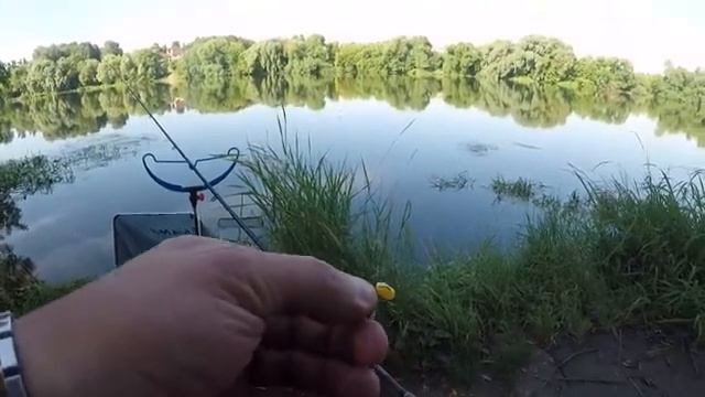 Рыбалка. 4 Дня Июля на Реке. Жара!!! Залетный Лещ. Плотва на Фидер. Часть 2. смотреть онлайн