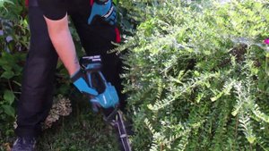 A pleasure to work with! Electric hedge trimmer with battery Makita DUM604