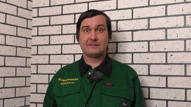 Твинго Евро - новое средство против основных вредителей яблони: цветоеда, плодожорки и листовертки смотреть онлайн