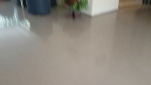 PARK AVRUPA HOTEL 3* Кемер (Kemer) 2019