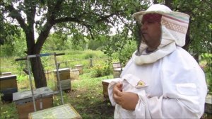 Работа со средне-русской пчелой (снятие медовых корпусов).