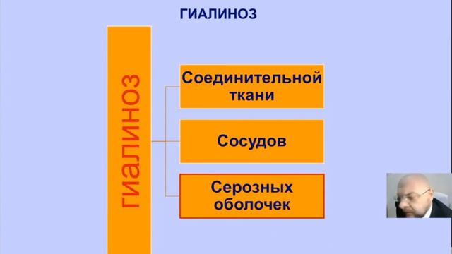патанатомия Стромальнно-сосудистые дистрофии. Амилоидоз. смотреть онлайн