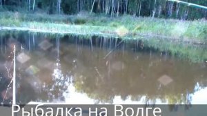 Рыбалка на Верхней Волге