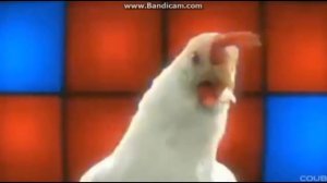 Оп давай давай целый час