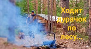 Строительство ТАЁЖНОЙ ИЗБЫ. Путь к успеху или в пропасть. Лесной дурачок...