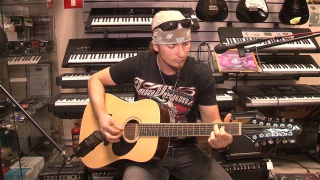 #GREGBENNETT D2/12 12-струнная акустическая гитара смотреть онлайн