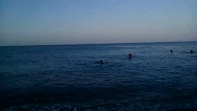 Акула на Черном море или кого можно встретить в море в 6 утра :) смотреть онлайн