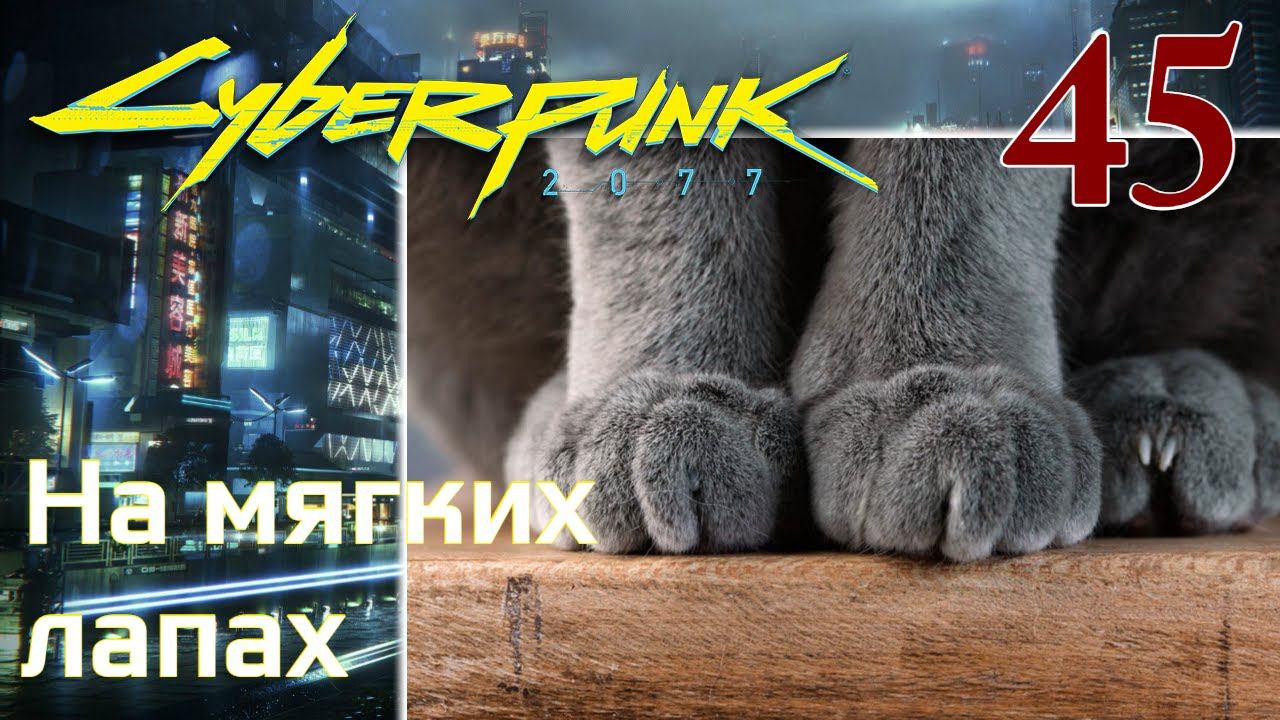 Cyberpunk 2077 МАКСИМАЛЬНОЕ ПРОХОЖДЕНИЕ #45 На мягких лапах