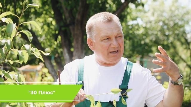 РЖАВЧИНА НА ГРУШЕ? ВЫХОД ТОЛЬКО ТАКОЙ!
