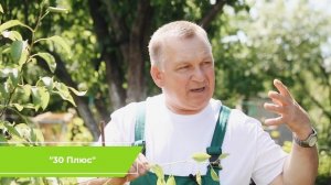 РЖАВЧИНА НА ГРУШЕ? ВЫХОД ТОЛЬКО ТАКОЙ!