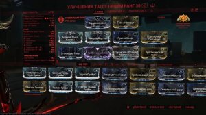 Татсу Прайм Тэннокай СП билд на 31.12.2023 Tatsu Prime Tennokai The Steel Path WARFRAME