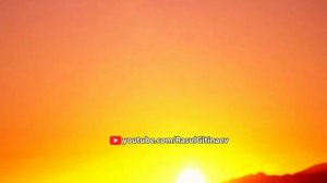 11 Лариса Гаджиева – Что случилось