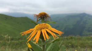 Природа, в горах Дагестана Табасаранского района