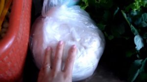 Воскресные покупки в Азербайджане
