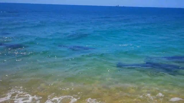 Дельфин приплыл к Людям на Кояшском Озере! Чудо Света в Крыму! смотреть онлайн