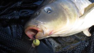 Почему так происходит? Поклевки идут но не засекается, в чем основная причина