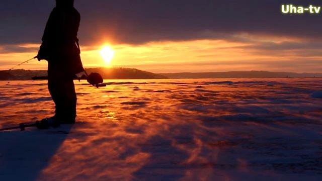 Красивый кадр с рыбалки в Козьмодемьянске 27 декабря 2014 uha-tv смотреть онлайн