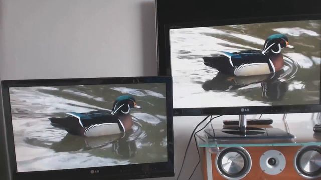 LG W2363D tn vs LG M2382D-PZ IPS смотреть онлайн