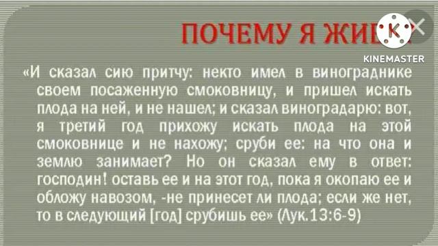 30 июля. Долготерпение Божие. День за днем..