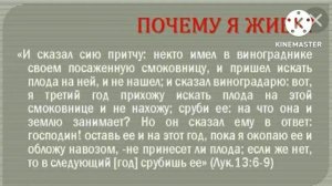 30 июля. Долготерпение Божие. День за днем..