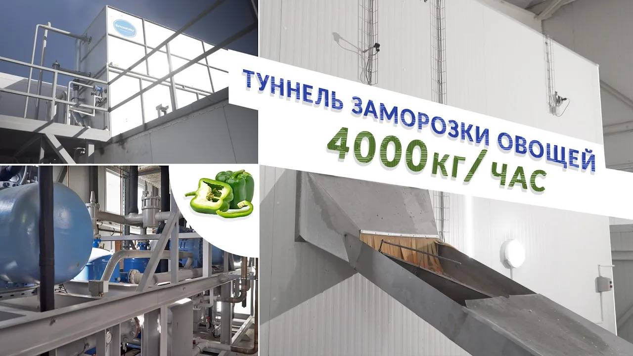 Туннельная IQF заморозка овощей, до 4000 кг⧸час