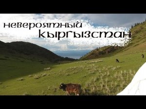Жизнь по-кыргызски || С миру по нитке
