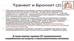 Все об остром трахеите у взрослых