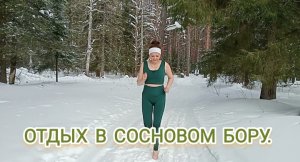 Отдых в сосновом бору.