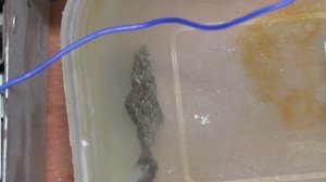 Чистка предметов старины электролизом