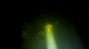 Подводная охота ночью  р.Оскол 21.06.2019.