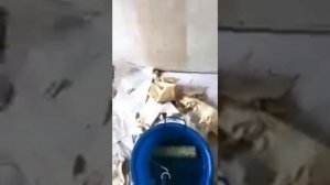 Как правильно и быстро снять старые обои со стены