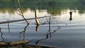 Рыбачу на ТЕСТО по РЕЦЕПТУ от ПОДПИСЧИКА! Это ТЕСТО ловит лучше, чем ОПАРЫШ?! Попал на ЖОР КАРАСЯ!