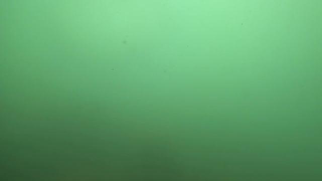 Сочи 2020. Море, пляж, цены, кафе. Самый честный обзор. (Папа Может)