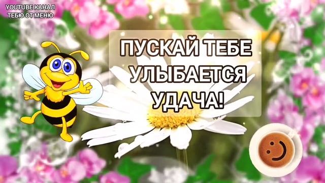 Ласкового Доброго Утра ? Мирного Неба ? С Добрым Утречком Хорошего Дня Открытка! #сдобрымутром