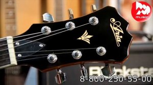 Полуакустическая гитара ARIA TA CLASSIC Hollow body guitar