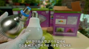 [4K]겨울에도 꽃이 피는 식물등 효과/ 하쿠의 정원 x 필립스 LED 식물등 단독 최저가 3차 공동 구매 / 조기품절로 이벤트가 종료되었습니다