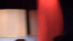 Этюды "Наблюдения за животными"